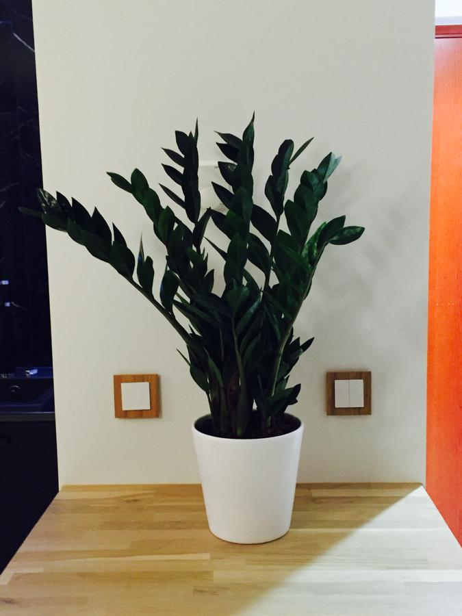 Rotermanni Cozy Apartment ทาลลินน์ ภายนอก รูปภาพ